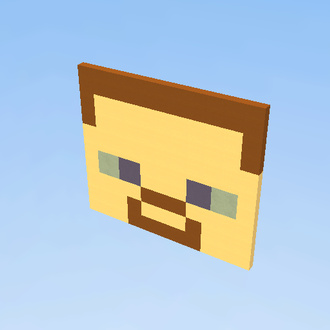 steve