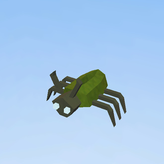 Bug