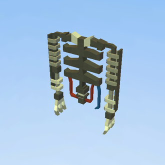 ENDO-2 TORSO