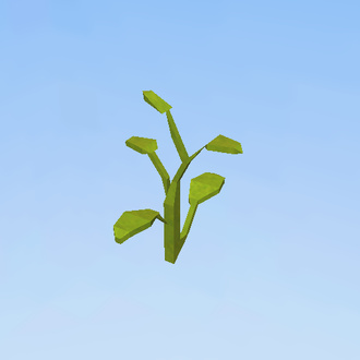 weed