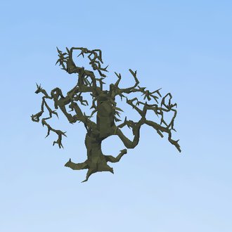 Dead Majestic Tree
