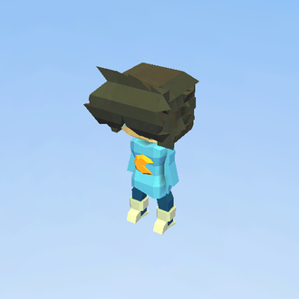 1 model