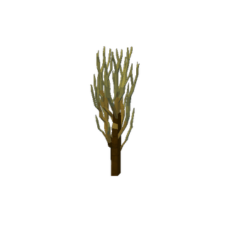 prototype 5