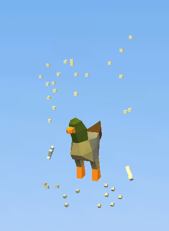 male duck