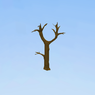 Oak in winter