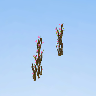 Cherry blossom tree