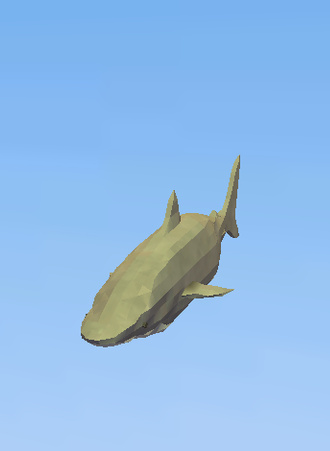 Shark