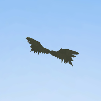 Wings