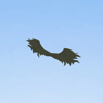 wings