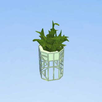 ~5~ plantita