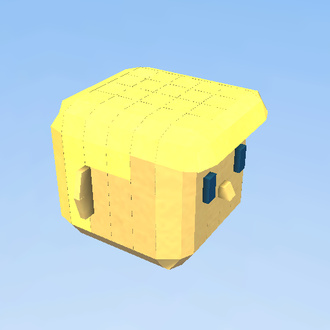 the head