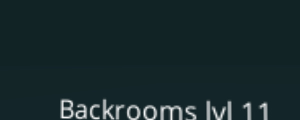 Backrooms level 11 is AWESOME… 