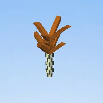 brzoza