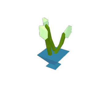 neighbor flower 1
