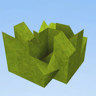 Krzak/Bush
