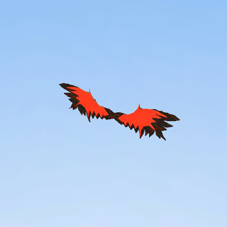 « Lava Wings »