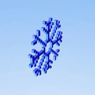 snow flake