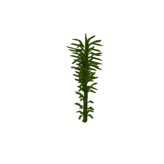 subnautica kelp 2