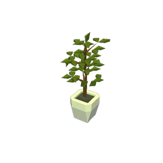 Planta