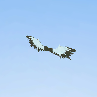 wings