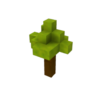 arbol de bromos creciendo