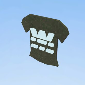 Adidas Shirt.