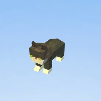 Kot