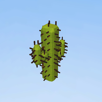 Cactus