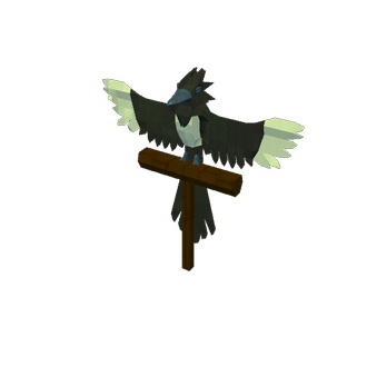 Magpie