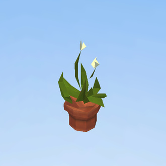 Plant