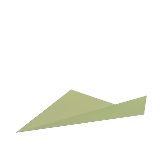 bug 2