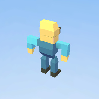 person
