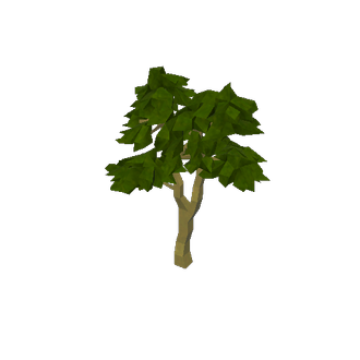 alcatraz tree 1