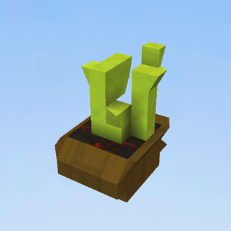 rooms plant