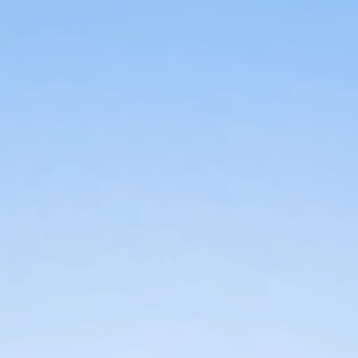 insvisible