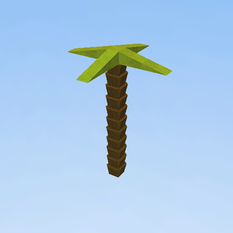 Coconut Tree