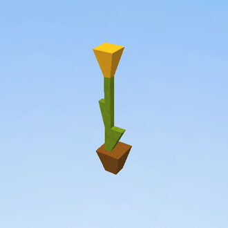 tulipan