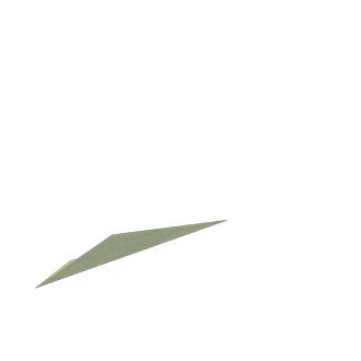 bug 4