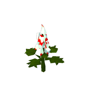 plant / flower