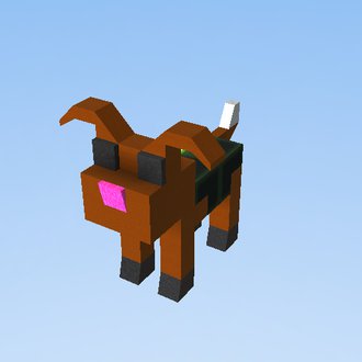 hond