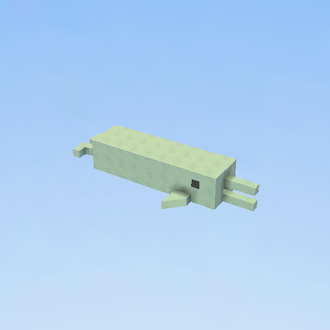 Dolphin