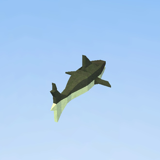 shark