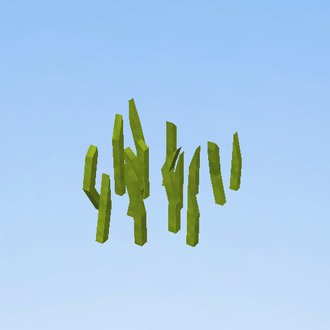 Grass