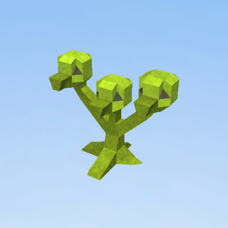 Plant