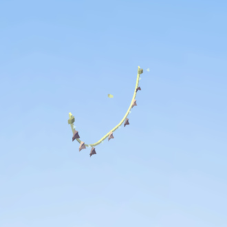 :)