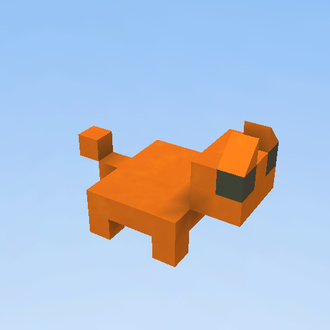 pet kitty cat