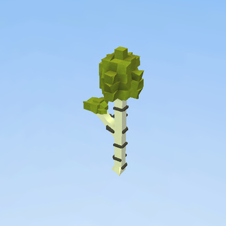 Birch Tree
