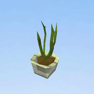 plant