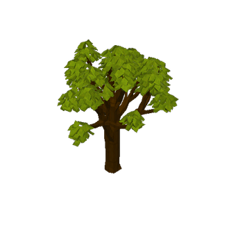 neighbor 2 tree colored