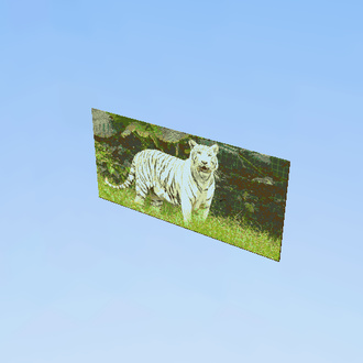 White Tiger 